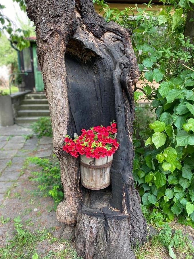 Old Summer House With Renovated Bathroom ปราก ภายนอก รูปภาพ
